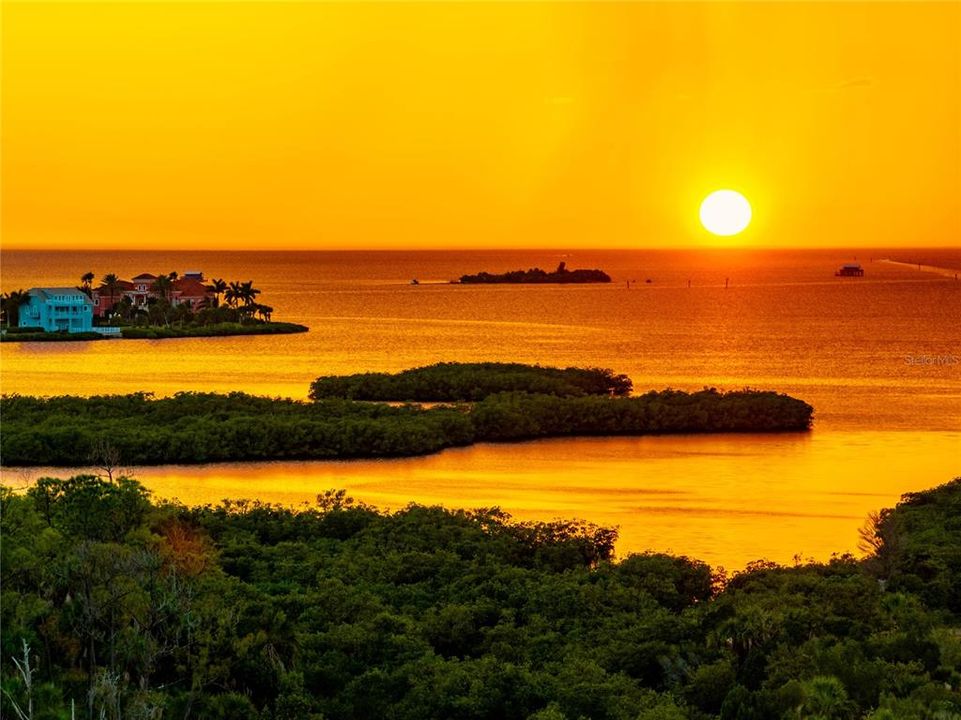 Под контрактом: $1,500,000 (5 спален, 3 ванн, 4608 Квадратных фут)