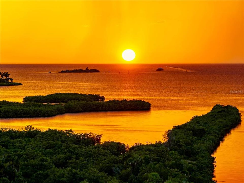 Под контрактом: $1,500,000 (5 спален, 3 ванн, 4608 Квадратных фут)