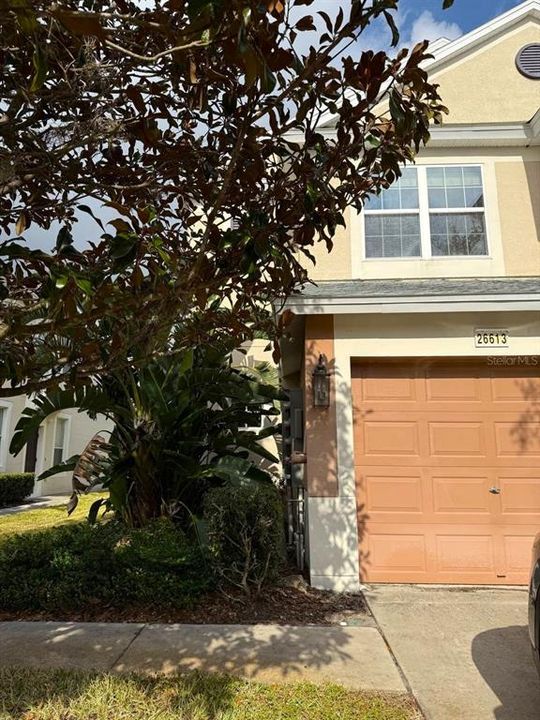 Недавно арендовано: $1,800 (3 спален, 2 ванн, 1545 Квадратных фут)