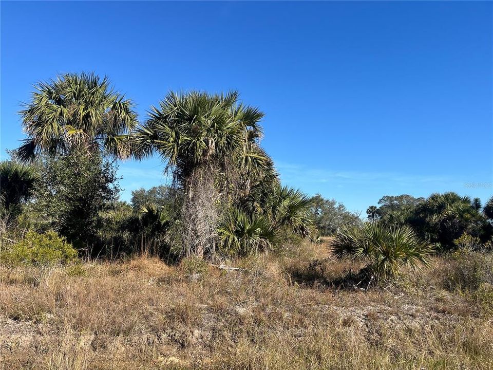 Recently Sold: $79,900 (3.00 acres)