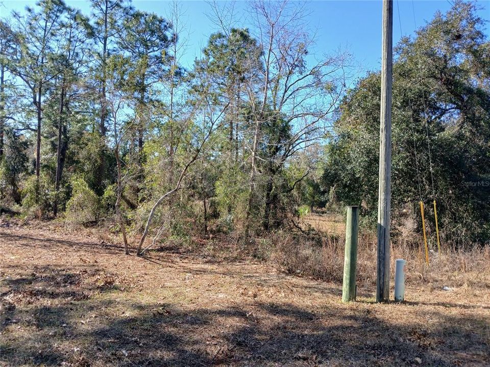 Recently Sold: $45,000 (1.01 acres)