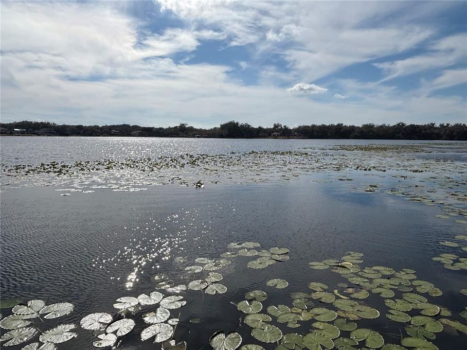 Vendido Recientemente: $1,925,000 (0.71 acres)