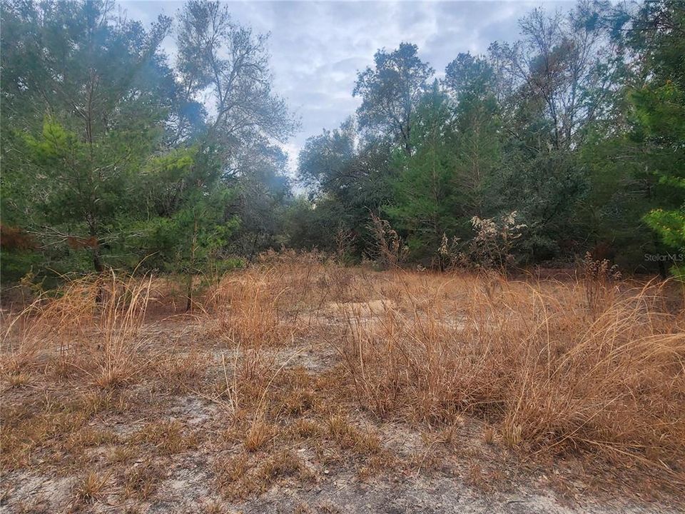 待售: $7,999 (0.23 acres)