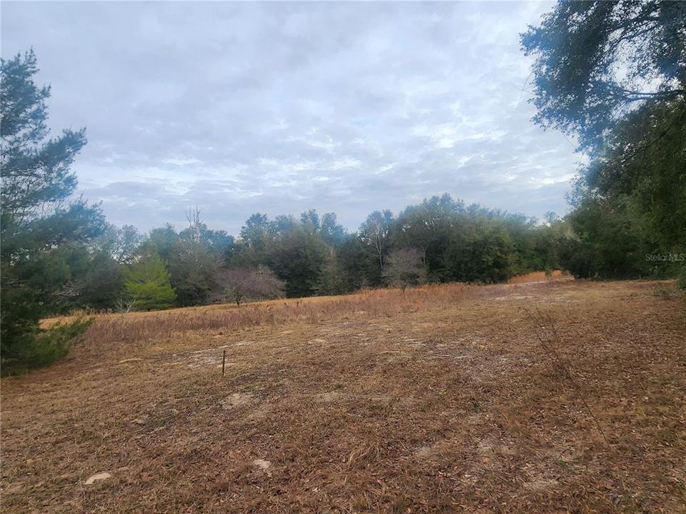 待售: $7,999 (0.23 acres)