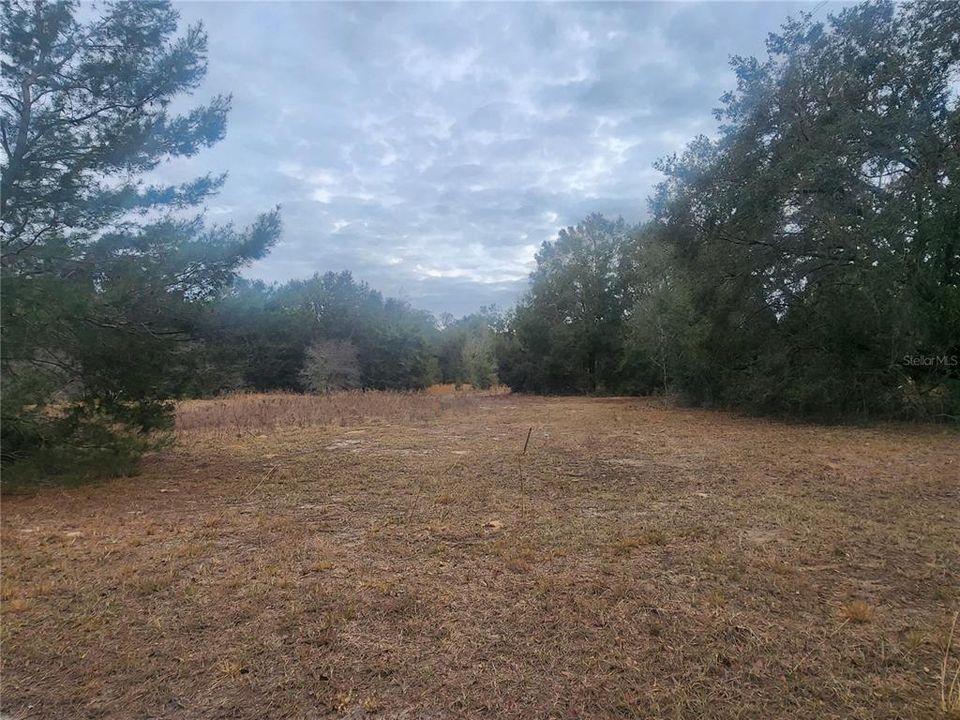 待售: $7,999 (0.23 acres)