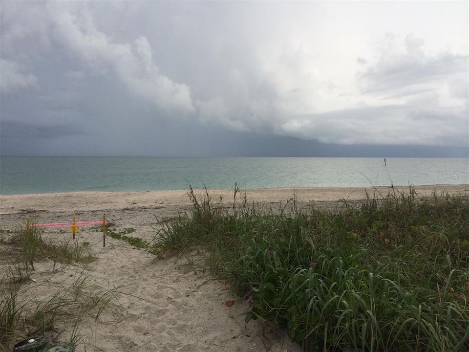 For Sale: $1,995,000 (0.49 acres)