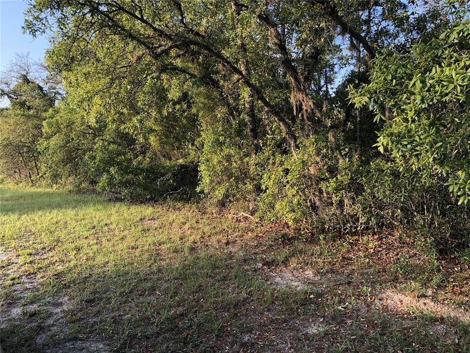 На продажу: $50,000 (0.24 acres)