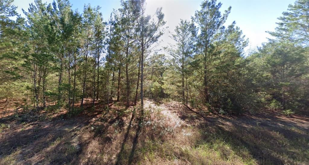 Vendido Recientemente: $11,900 (0.56 acres)