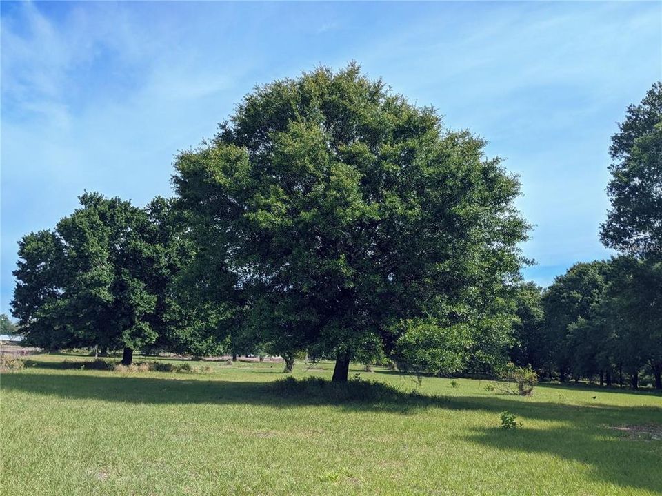 Recently Sold: $135,000 (0.81 acres)