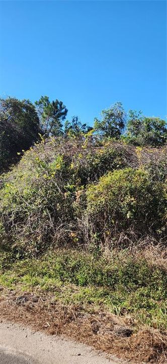 For Sale: $56,000 (0.28 acres)