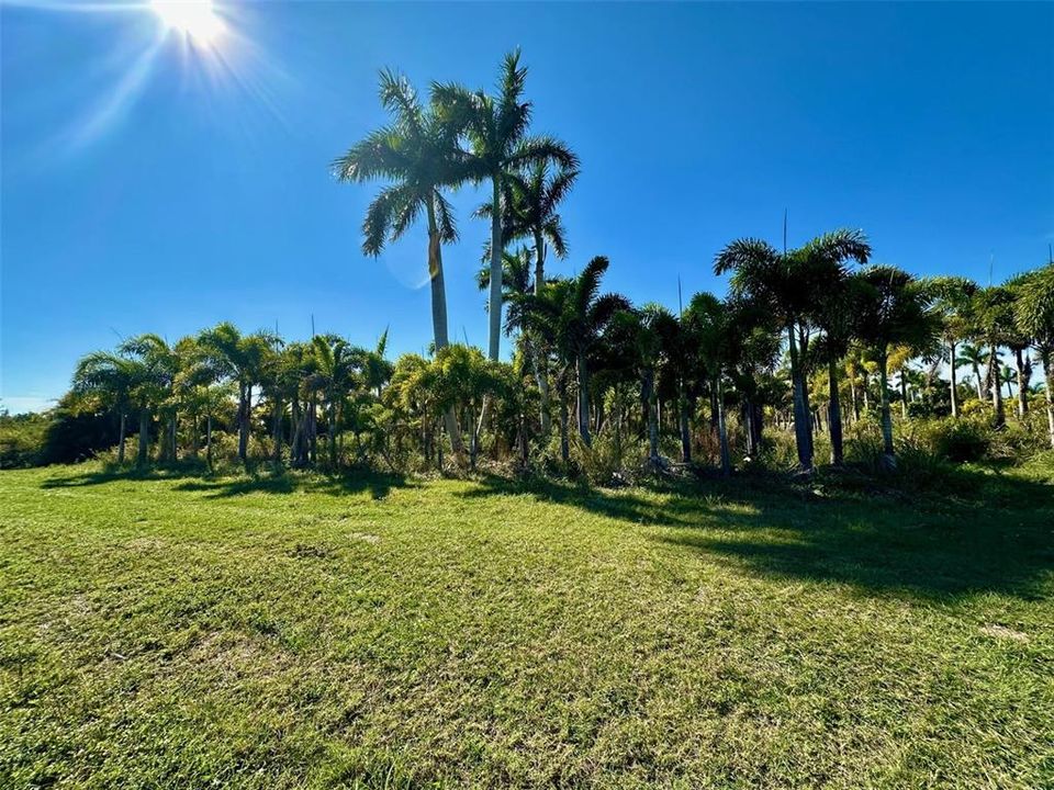 For Sale: $105,000 (0.94 acres)