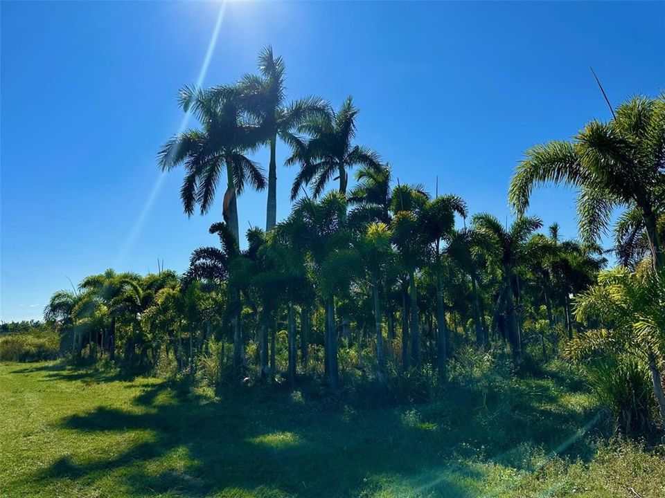 For Sale: $105,000 (0.94 acres)