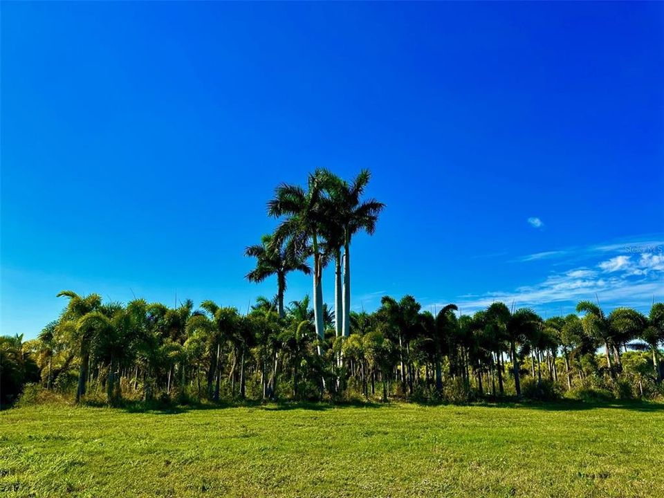 For Sale: $105,000 (0.94 acres)