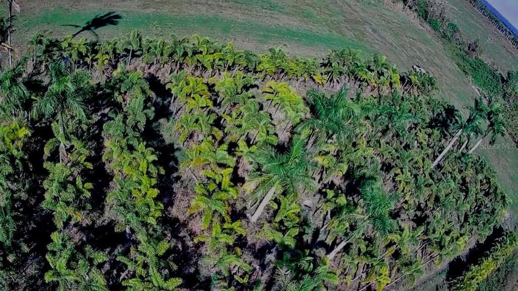 For Sale: $105,000 (0.94 acres)