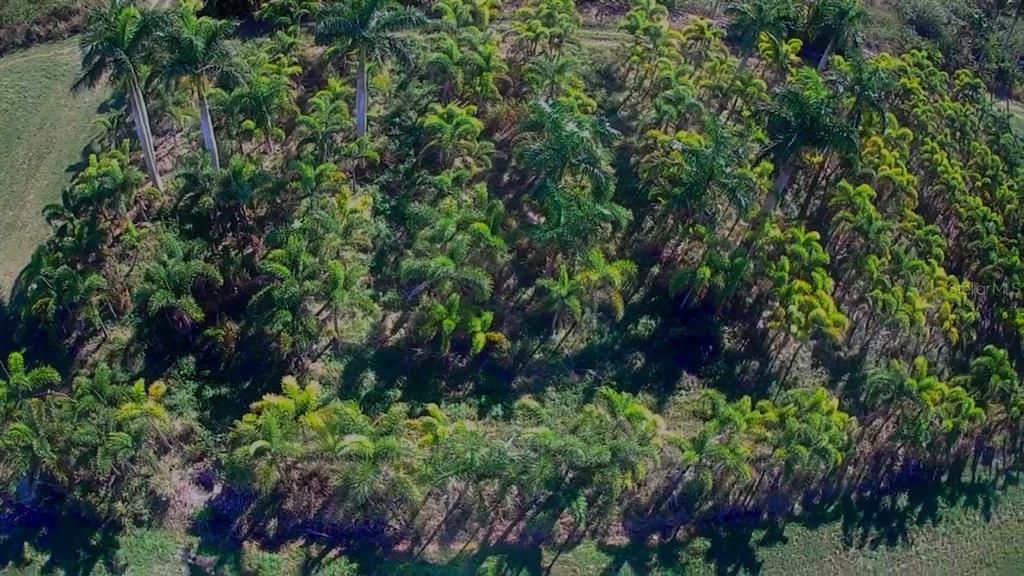 For Sale: $105,000 (0.94 acres)