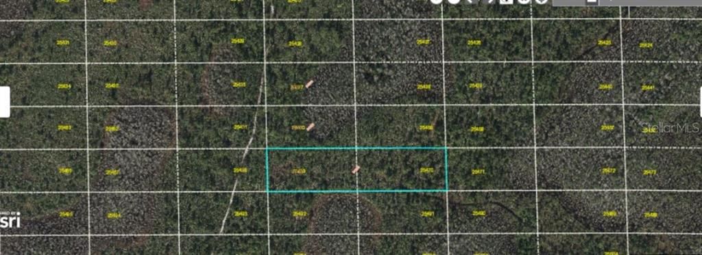 For Sale: $99,000 (2.57 acres)