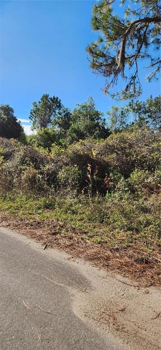 For Sale: $56,000 (0.28 acres)