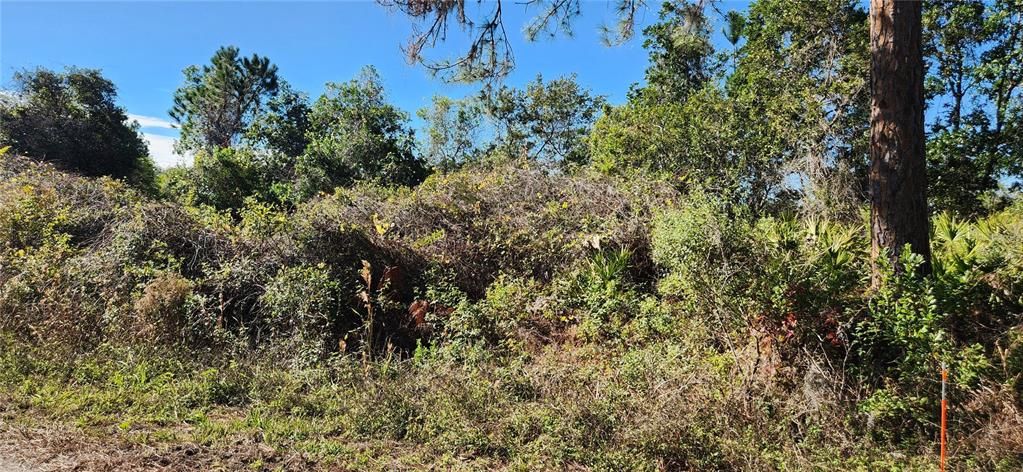 For Sale: $56,000 (0.28 acres)