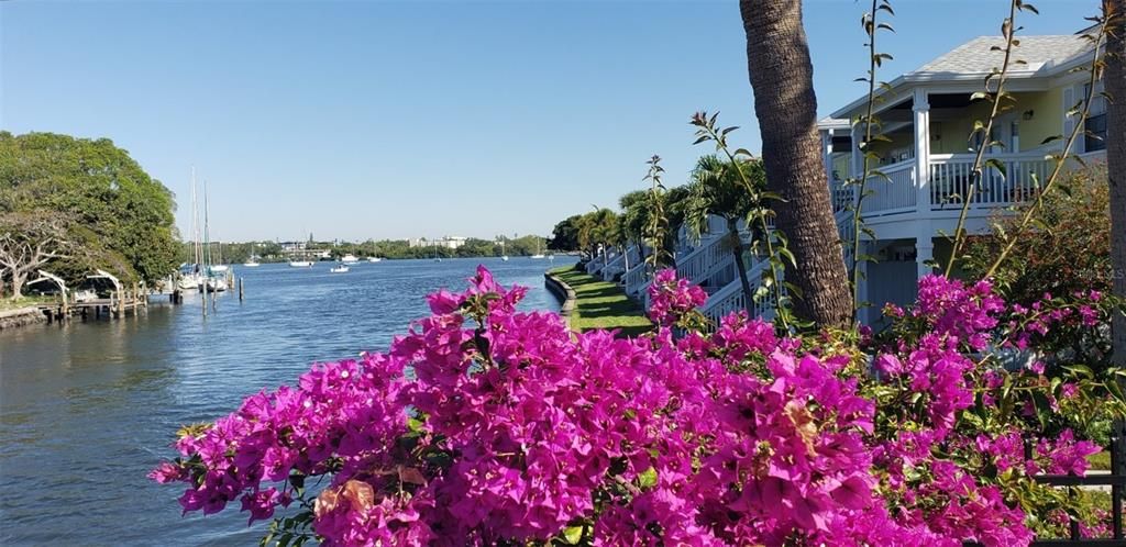 Под контрактом: $200,000 (1 спален, 1 ванн, 646 Квадратных фут)