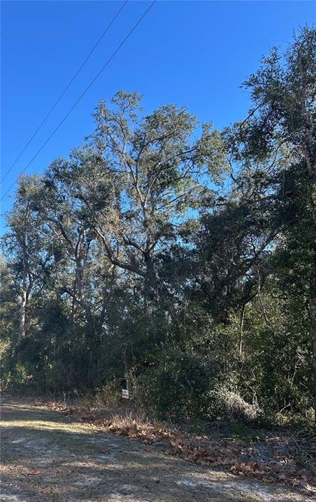 Vendido Recientemente: $12,000 (0.30 acres)