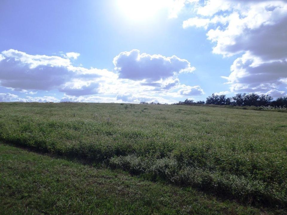 Active With Contract: $230,000 (10.00 acres)