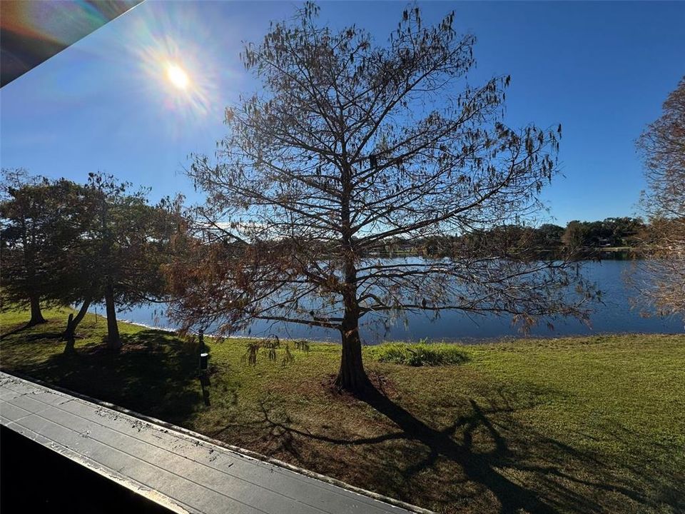 На продажу: $229,900 (3 спален, 2 ванн, 1112 Квадратных фут)