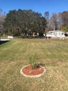 最近售出: $15,000 (0.15 acres)