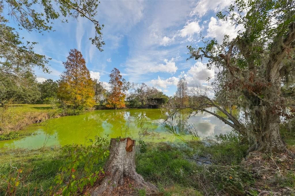 For Sale: $599,000 (3 beds, 2 baths, 1991 Square Feet)