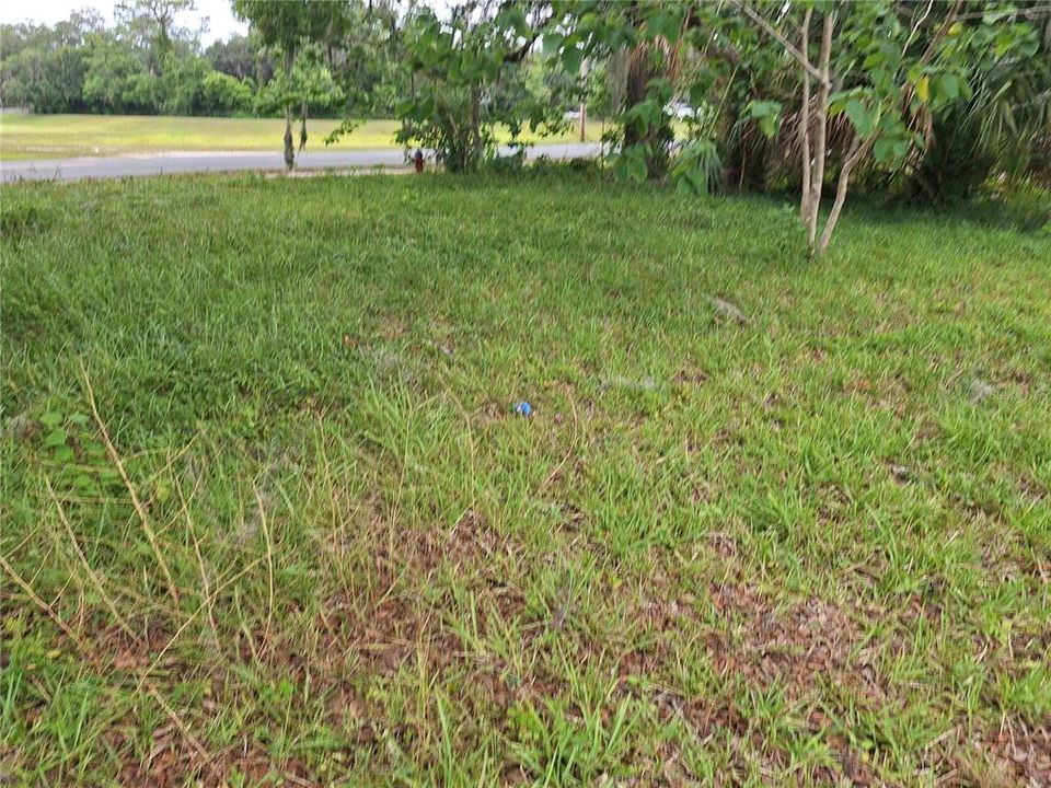 На продажу: $59,000 (0.45 acres)