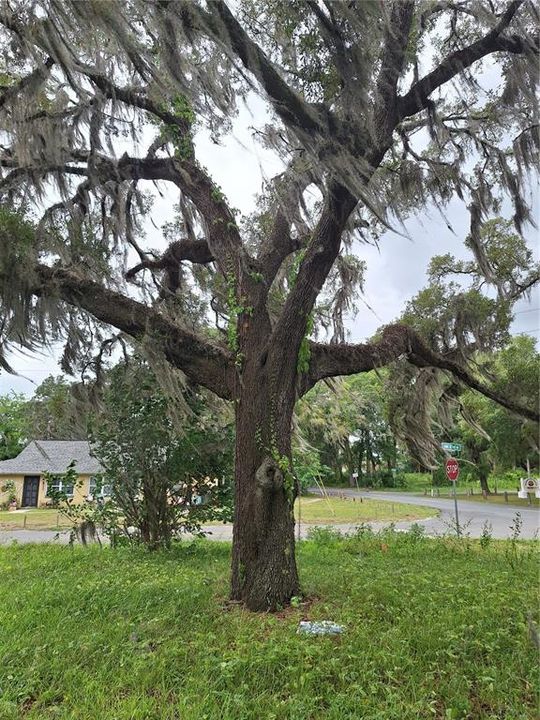 На продажу: $59,000 (0.45 acres)