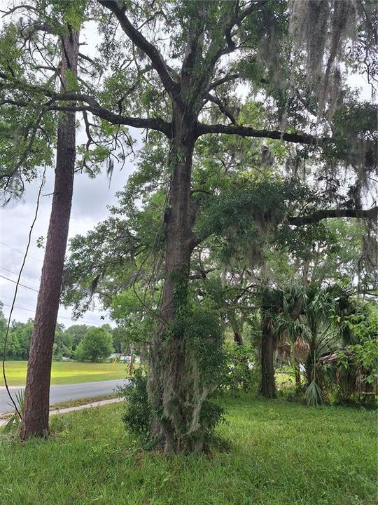 На продажу: $59,000 (0.45 acres)