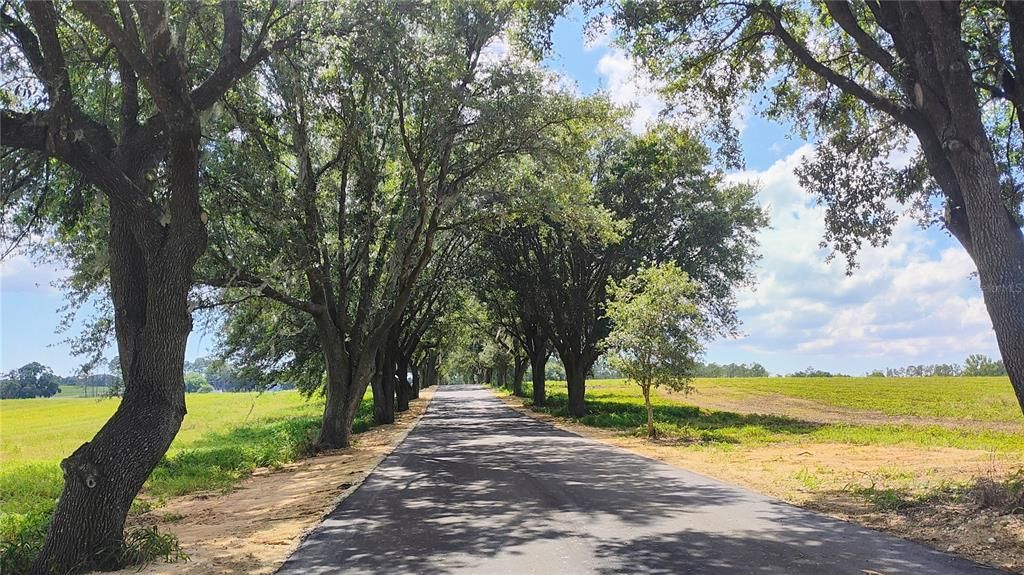 最近售出: $300,000 (4.80 acres)