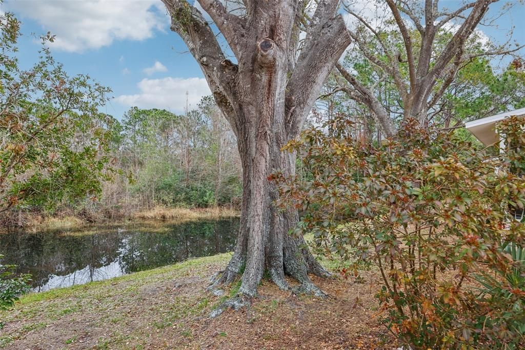 Activo con contrato: $196,900 (2 camas, 2 baños, 1310 Pies cuadrados)