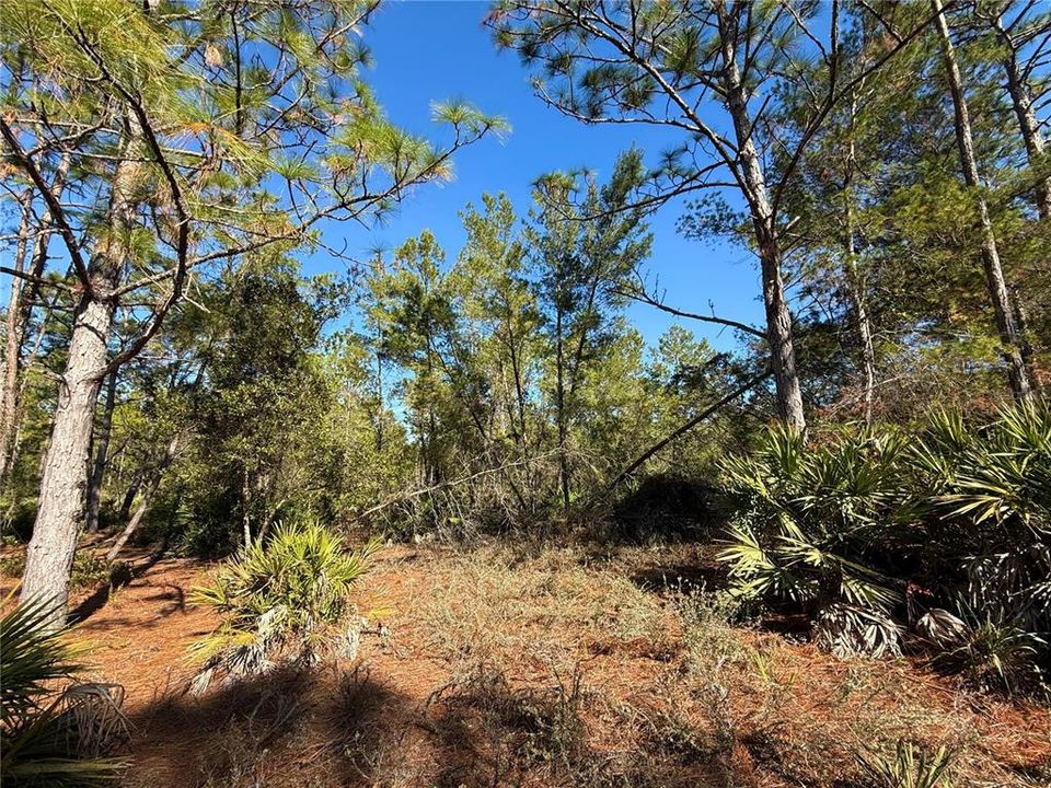 For Sale: $750,000 (3 beds, 2 baths, 1120 Square Feet)
