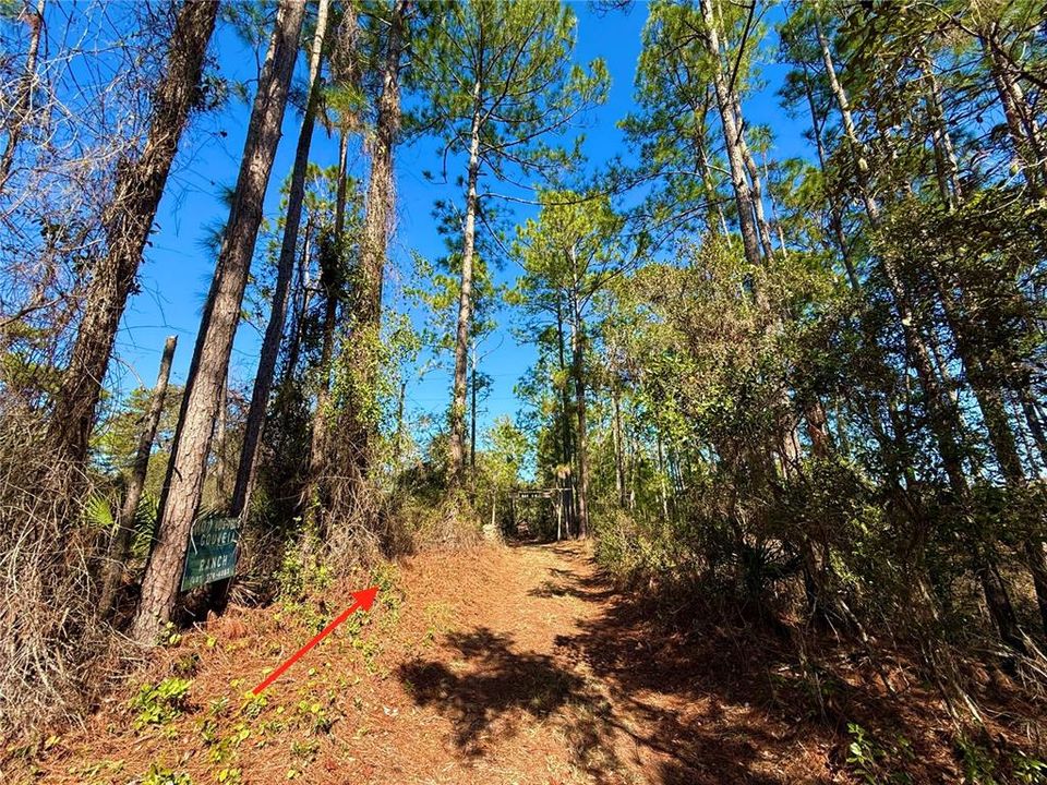 For Sale: $750,000 (3 beds, 2 baths, 1120 Square Feet)