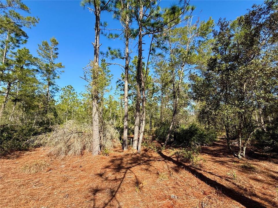 For Sale: $750,000 (3 beds, 2 baths, 1120 Square Feet)