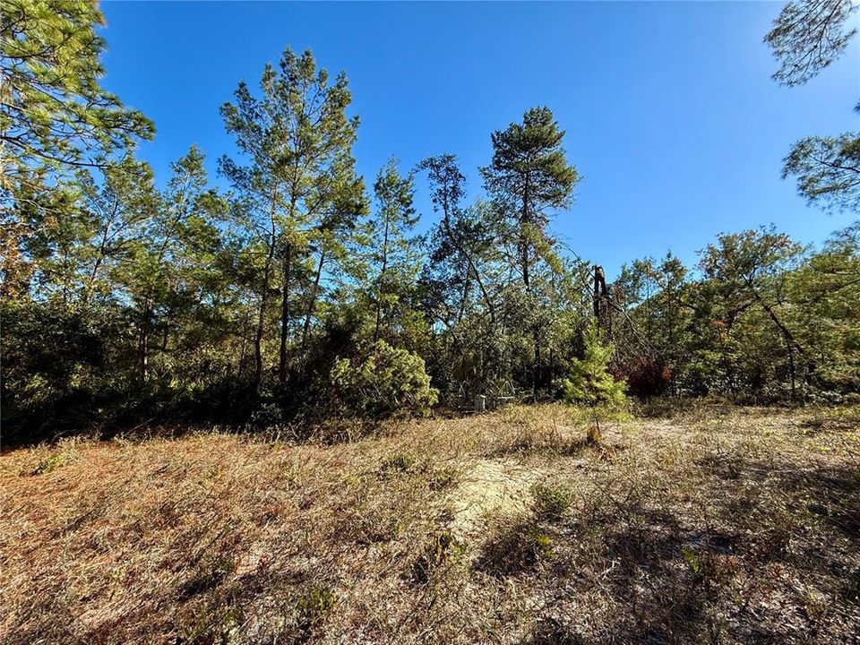 For Sale: $750,000 (3 beds, 2 baths, 1120 Square Feet)