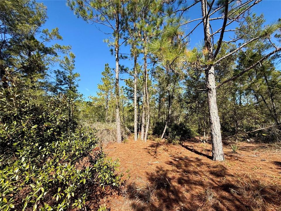 For Sale: $750,000 (3 beds, 2 baths, 1120 Square Feet)