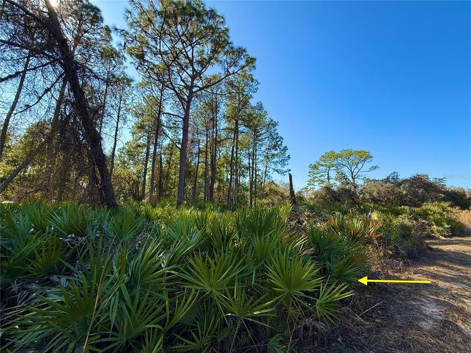 For Sale: $750,000 (3 beds, 2 baths, 1120 Square Feet)