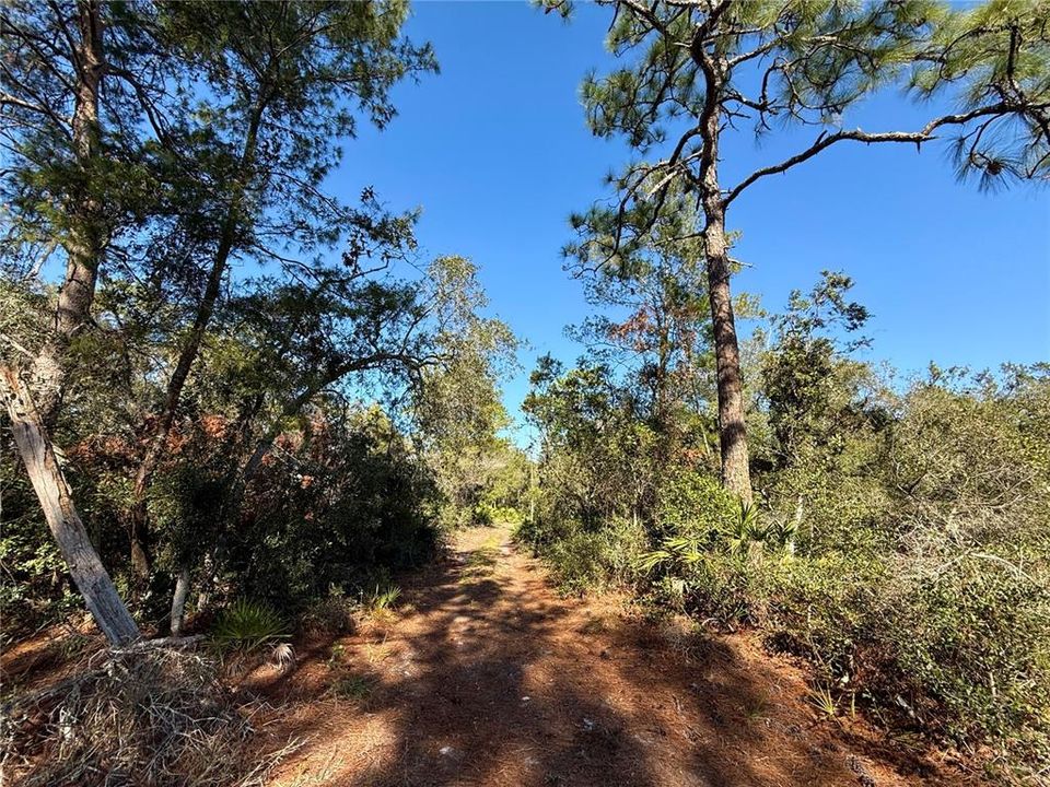 For Sale: $750,000 (3 beds, 2 baths, 1120 Square Feet)