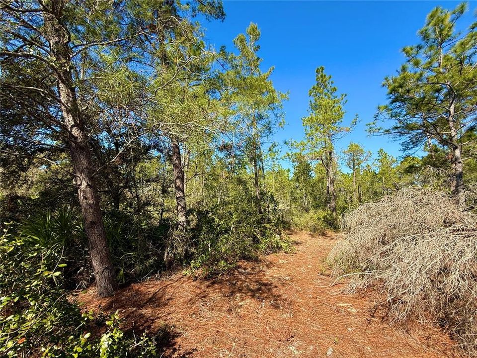 For Sale: $750,000 (3 beds, 2 baths, 1120 Square Feet)