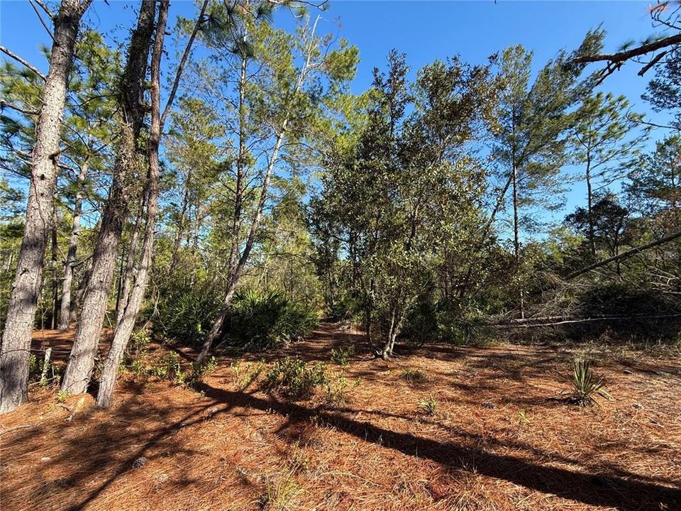 For Sale: $750,000 (3 beds, 2 baths, 1120 Square Feet)