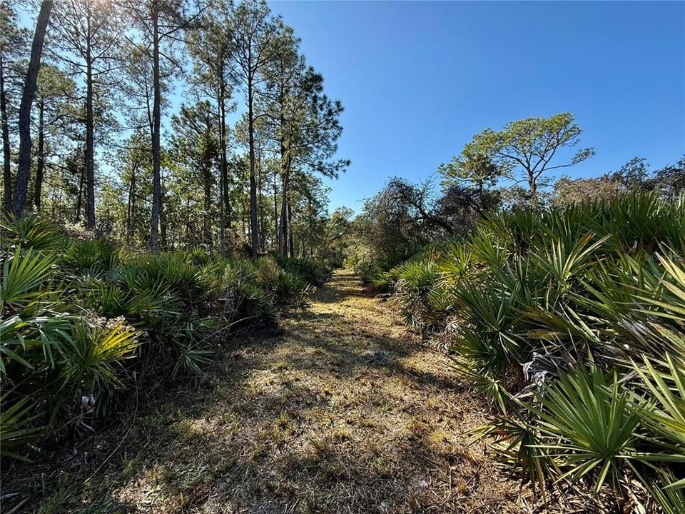 For Sale: $750,000 (3 beds, 2 baths, 1120 Square Feet)