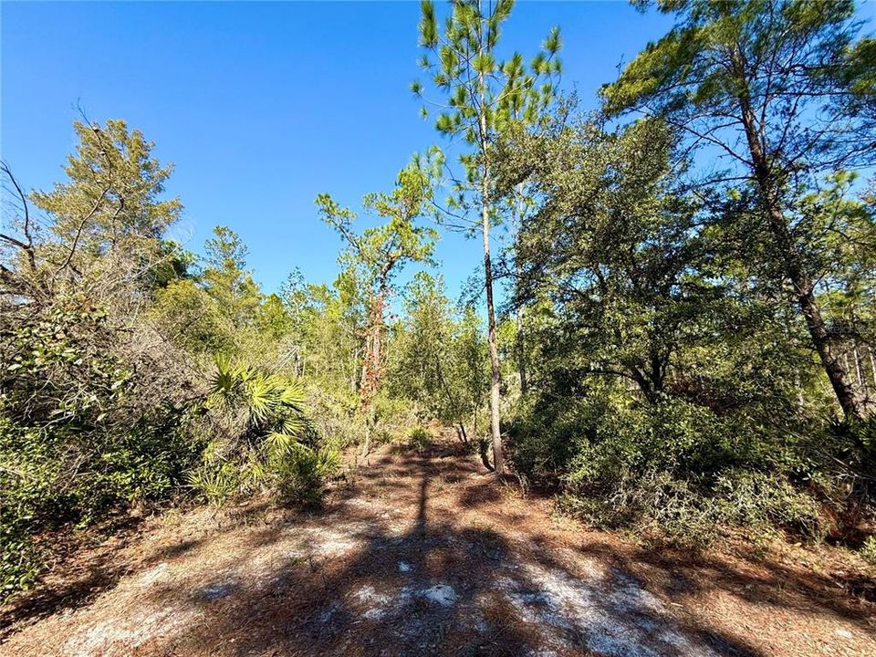 For Sale: $750,000 (3 beds, 2 baths, 1120 Square Feet)