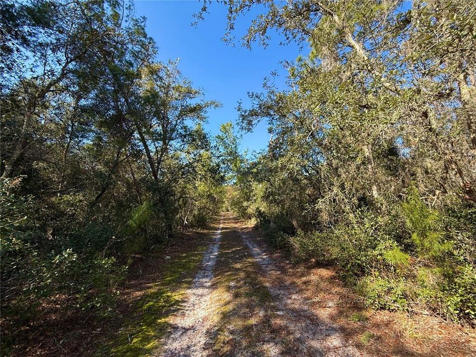 For Sale: $750,000 (3 beds, 2 baths, 1120 Square Feet)
