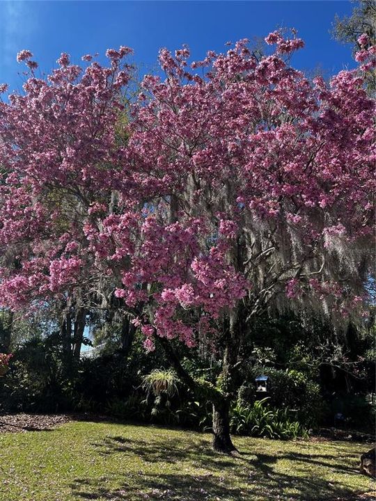 Recently Sold: $1,250,000 (0.36 acres)