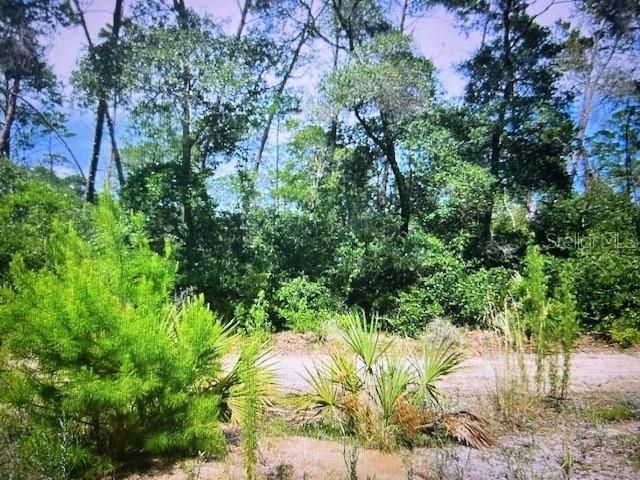 Recently Sold: $11,300 (0.31 acres)