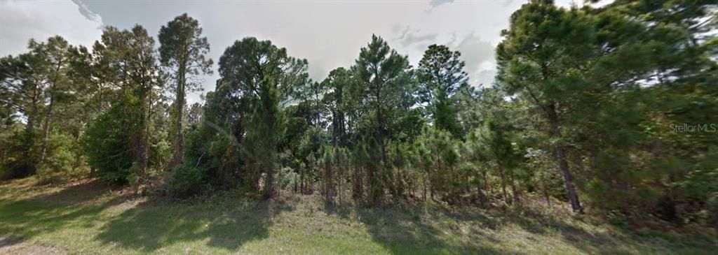 待售: $100,000 (1.13 acres)