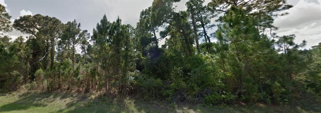 待售: $100,000 (1.13 acres)