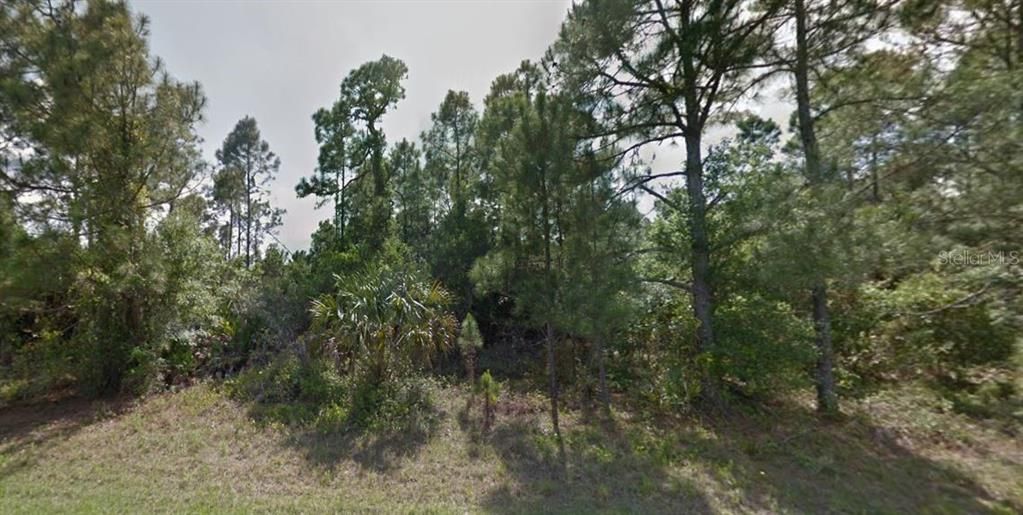 待售: $100,000 (1.13 acres)